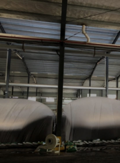 xc sports(中国区)-官方网站